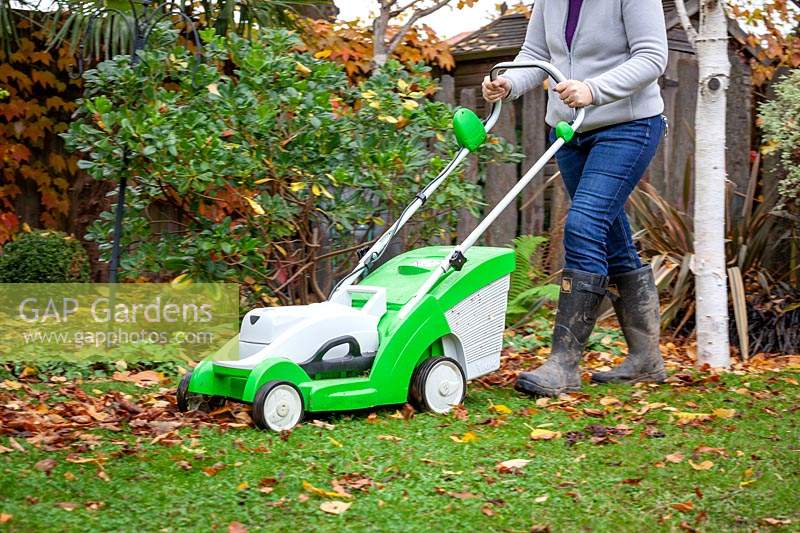 Using a mower to remove fallen leaves from a lawn.