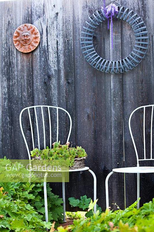 Fence with decorative wall hangings, in front a basket of Sempervivum on a chair