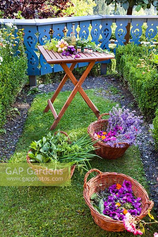 Baskets of harvested herbs and flowers on lawn with table with homemade products such as cosmetics and herbal remedies, ornate wooden fence beyond