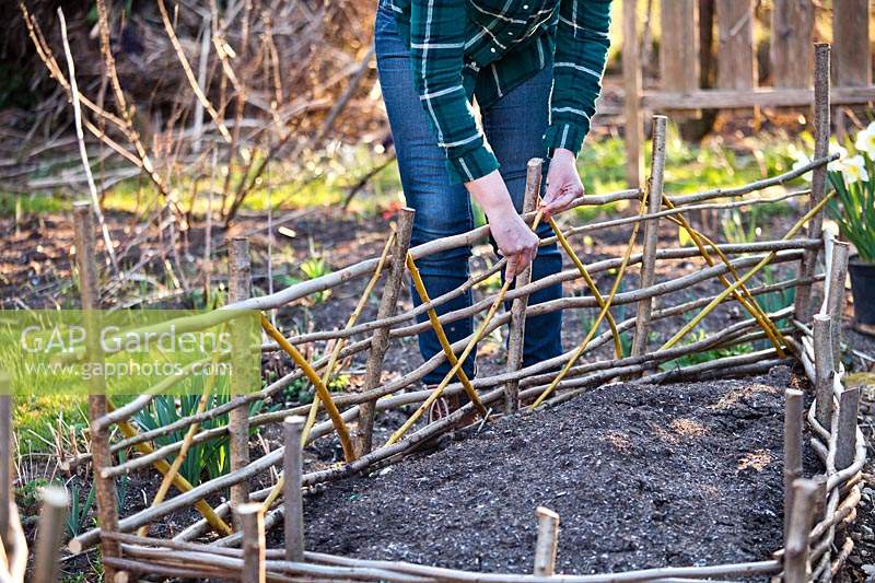 Woman creating fence around raised bed 