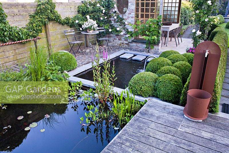 Contemporary garden with pond, water feature and box topiary. 