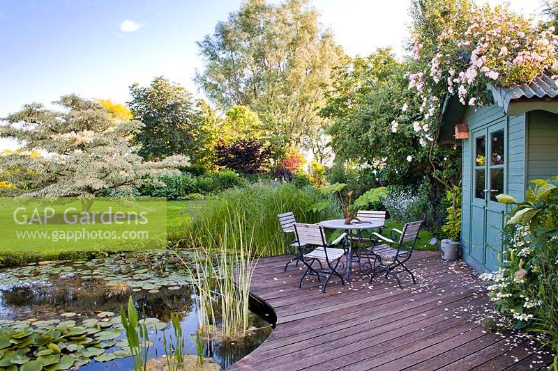 View over planted pond with decked relaxing area with summerhouse with Rosa - Climbing Rose, beyond lawn with specimen trees 