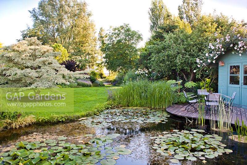 View over pond with Nymphaea - Waterlily - pads to marginal planting, lawns and trees