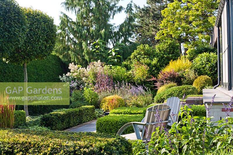 Relaxing area in modern garden, with view to low box and yew hedging and Carpinus betulus - Hornbeam lollipop standards.