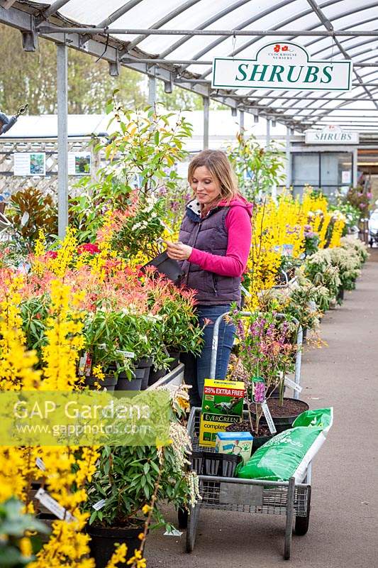 Filling up a trolley with plants at a garden centre