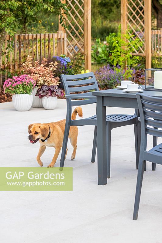 Modern table and chairs set up on context Porcelain patio with Puggle dog running through shot