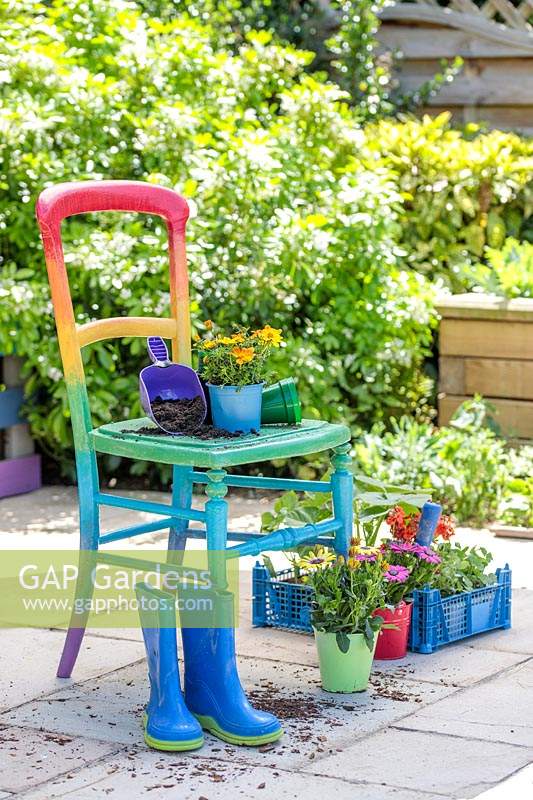 Wooden chair painted in rainbow colours on patio with bedding plants and blue welly boots