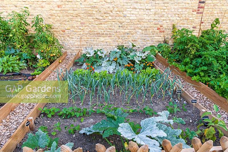 Leeks, salads, Zucchini, Tagetes in raised beds 