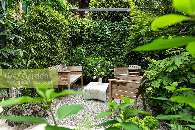 A view through to a private seating area with foliage screen of Phyllostachys bissetii - Bamboo, Hedera hibernica - Ivy and Hydrangea quercifolia 'Pee Wee'