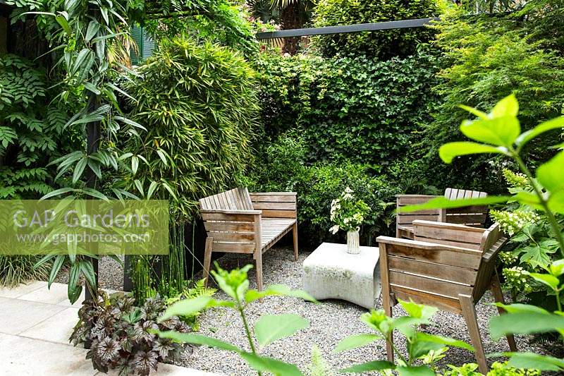 A relaxed seating area, privacy from metal pergola with Clematis armandii, trough of Phyllostachys bissetii - Bamboo and a screen of Hedera hibernica - Ivy