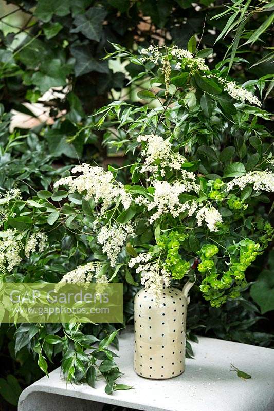 Vase on table with Sarcococca ruscifolia, Ligustrum vulgare and Euphorbia wulfenii