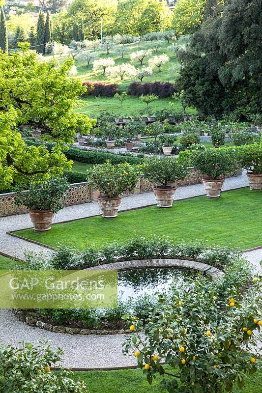 View over the centre of a parterre with grass beds and row of Citrus - Lemon - trees in pots, beyond another formal garden and orchard 