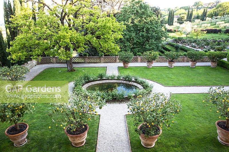 Parterre with beds of grass around a central feature and a rows of Citrus - Lemon - tree in pots 