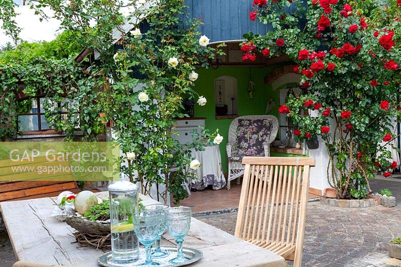 Romantic summer house with climbing Roses 'Elfe' and 'Illusion'