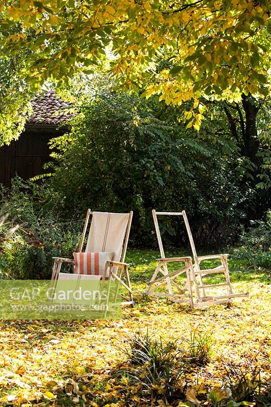 Antique deck chairs on autumnal lawn 