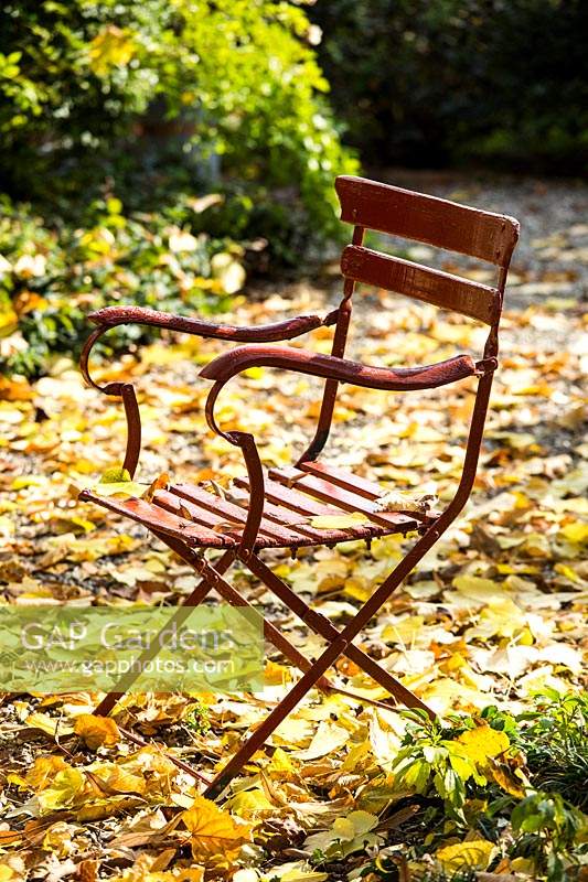 Antique red chair stood in the garden surrounded by fallen leaves