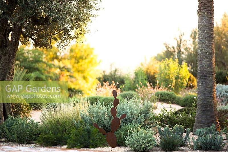 A dry garden of evergreen shrubs and trees with weathered steel Opuntia sculpture