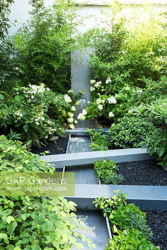 Mixed planting surrounding a metal water feature including hydrangea paniculata 'levana', ferns