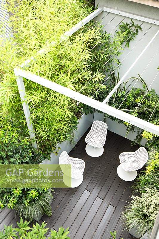 Looking down on metal pergola over office terrace garden with chairs and container planting