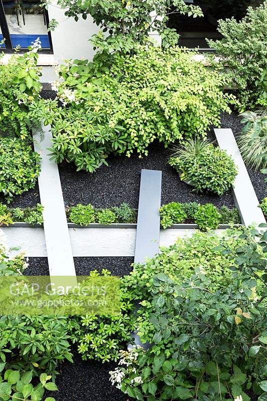 A glimpse seen from above in the office garden with parallelepipeds which cross the water channel between hydrangeas and pittosforus
