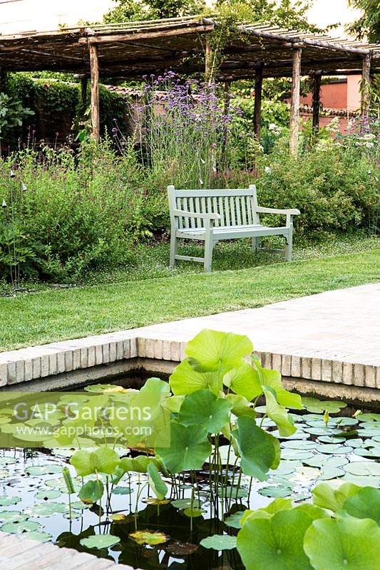 Small pond with Nelumbo nuciferra - Lotus and Nymphaea alba - White Water-Lily with perennial borders and an overlookin bench behind