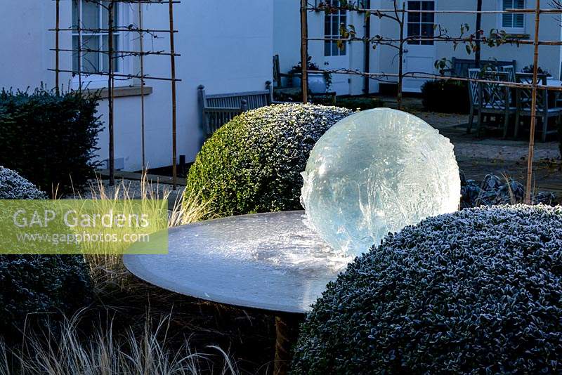 Aqualens water feature designed by Allison Armour with large clipped balls of Buxus sempervirens and Stipa tenuissima grass. 