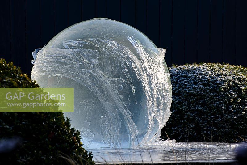 Aqualens water feature designed by Allison Armour, with large clipped balls of Buxus sempervirens. 