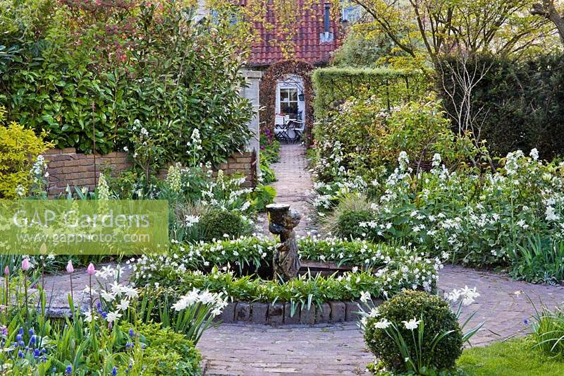 White themed planting in spring featuring daffodils, Anemone blands, tulips, Fritillaria persica 'Ivory Bells' and Lunaria annua. Small central circular pond with statue.