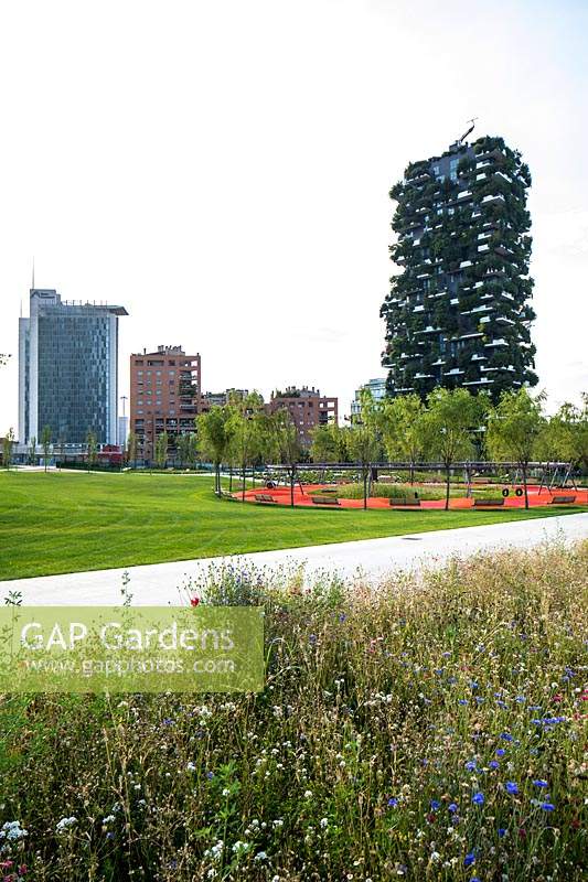 View across wildflower planting to public park with circle of trees, in background city scape including Bosco Verticale - Vertical Forest - designed by Stefano Boeri 