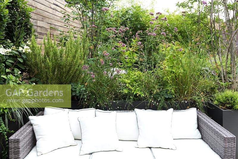 Modern seating and cushions, surrounded by planting in modern garden. 