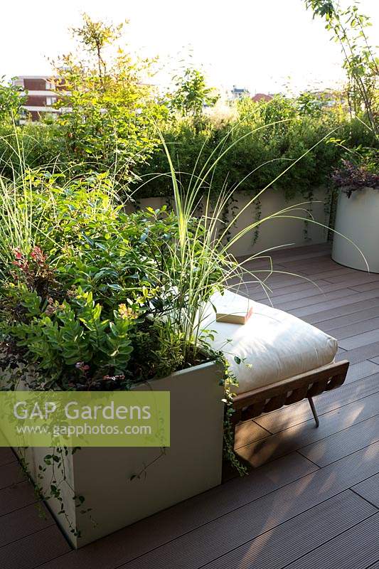 Trough planters arranged to screen buildings and break up decked terrace into different areas. Plants include shrubs, perennials and ornamental grasses.