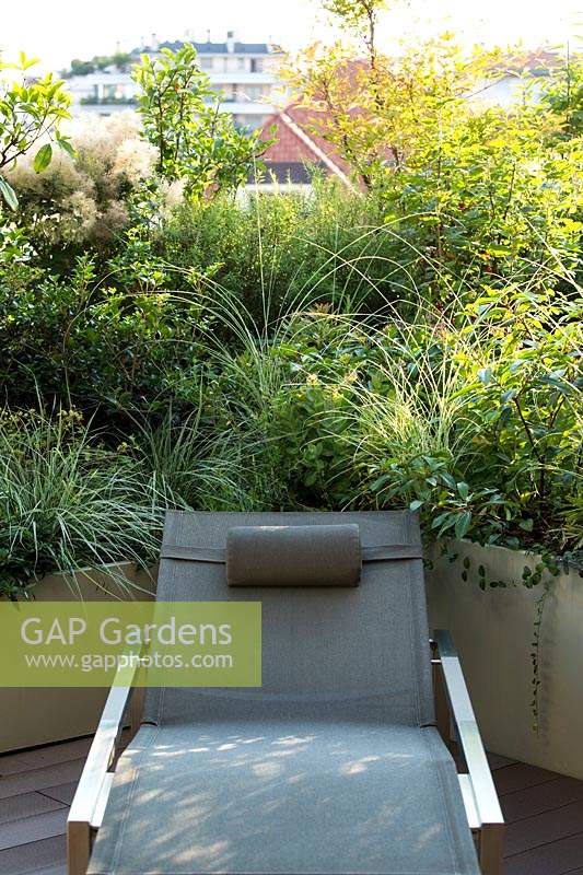 Bank of mixed foliage in planters at edge of terrace screen sun lounger, plants include: shrubs and ornamental grasses.