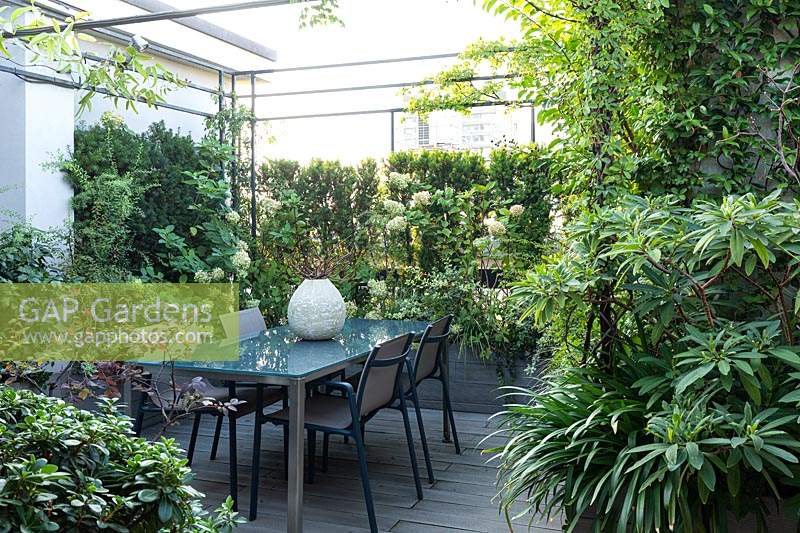 Dining area on terrace, screened by metal and planting of Hydrangea 'Limelight' at boundary. Plants in foreground: on the left Pittosporum tobira 'Nanum', Loropetalum 'Black Pearl', to the right Edgeworthia
