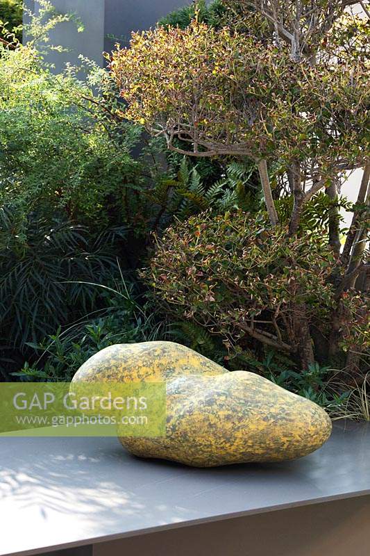 Stone on metal table in front of Taxus 'Fastigiata Aurea' - Yew