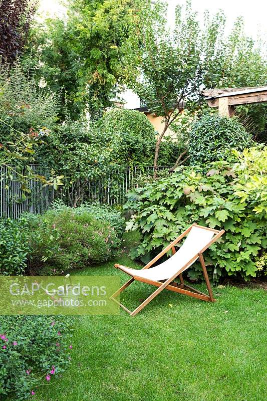 Small lawn with deckchair in front of Hydrangea quercifolia, fence with plant screening beyond 