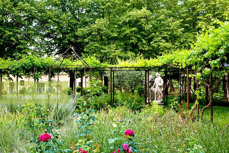 View over flower beds to a pergola covered by Vitis - Vine