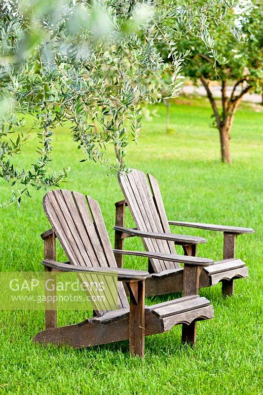 Pair of Adirondack chairs on grass with trees nearby 