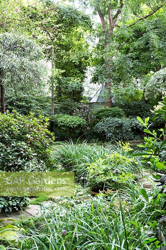 A combination of natural and pruned shrubs makes for an intriguing oasis of shade