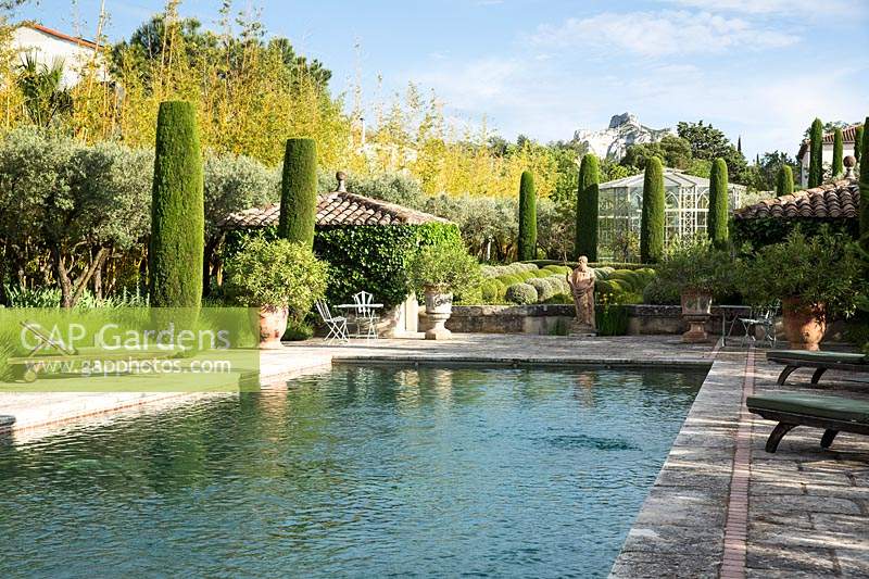 Swimming pool with topiary. The garden focuses on perfumed evergreens - pitosfori, olive trees, oleanders and lonicera nitida.