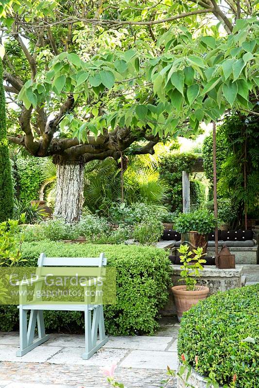 Relaxing area with scented mixed planting, evergreen shrubs and mulberry trees.	