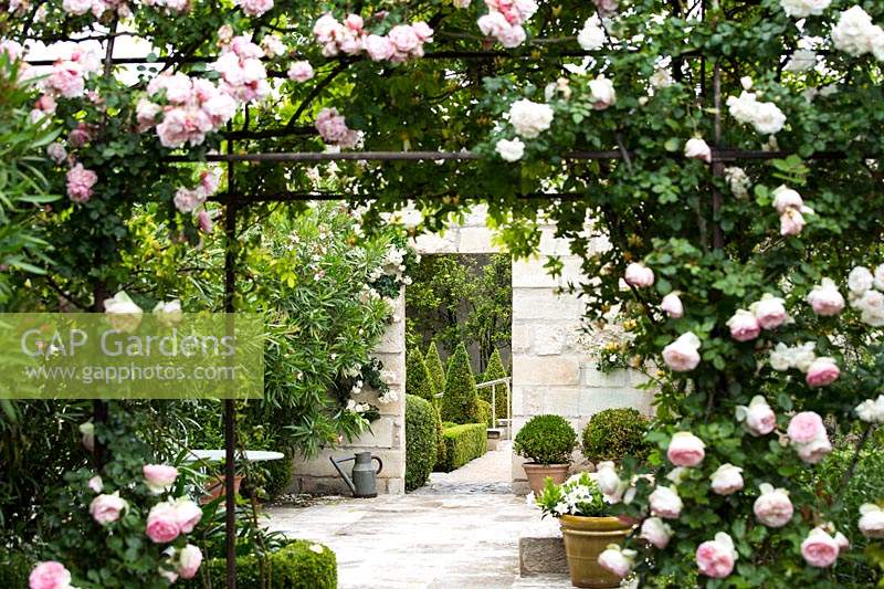 Rose garden with view through climbing roses.
