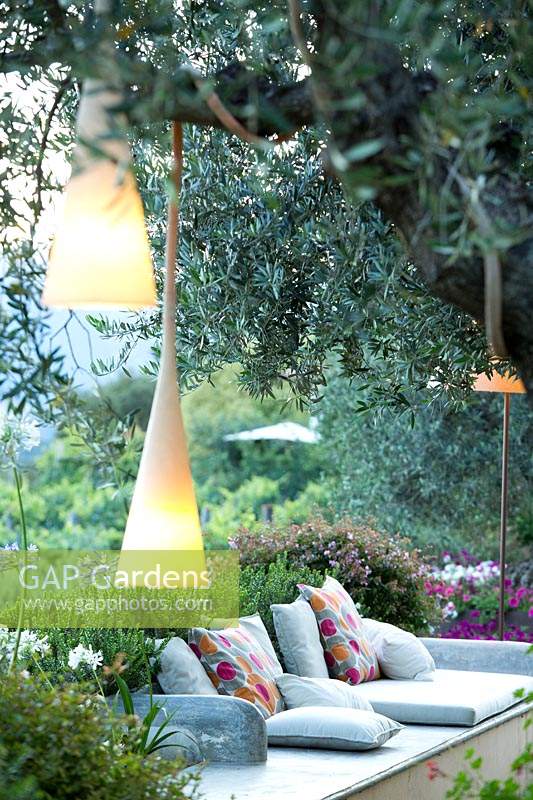 Hanging lights in an Olea europaea - Olive - tree near relaxing area 