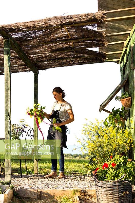 Nurserywoman preparing cut flowers for sale, stall in field where the flowers are grown