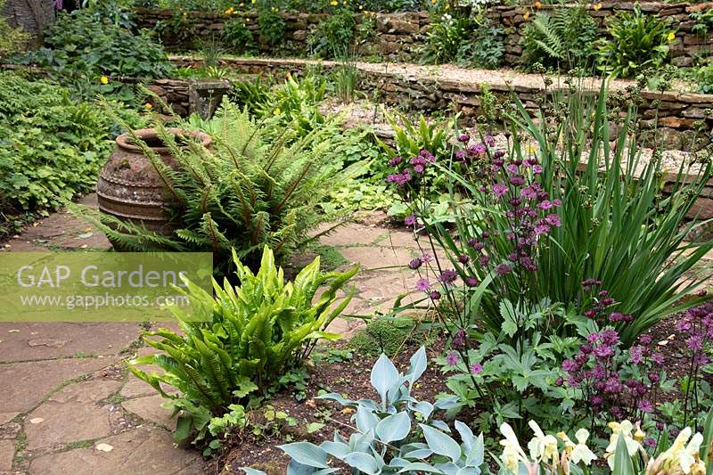 Large empty pot near ferns in the Woodland garden, in foreground a bed with Hosta, Astrantia 