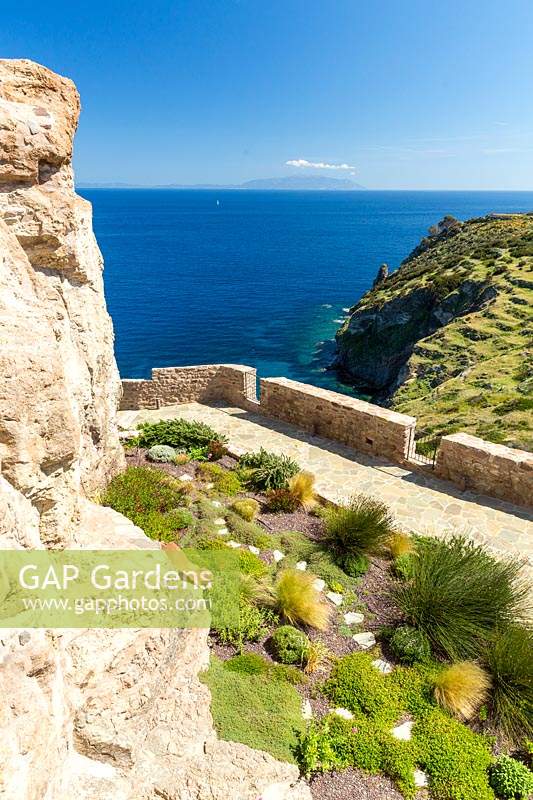 Forte San Giorgio gardens: mixed mediterranean shrubs planted in coastal garden