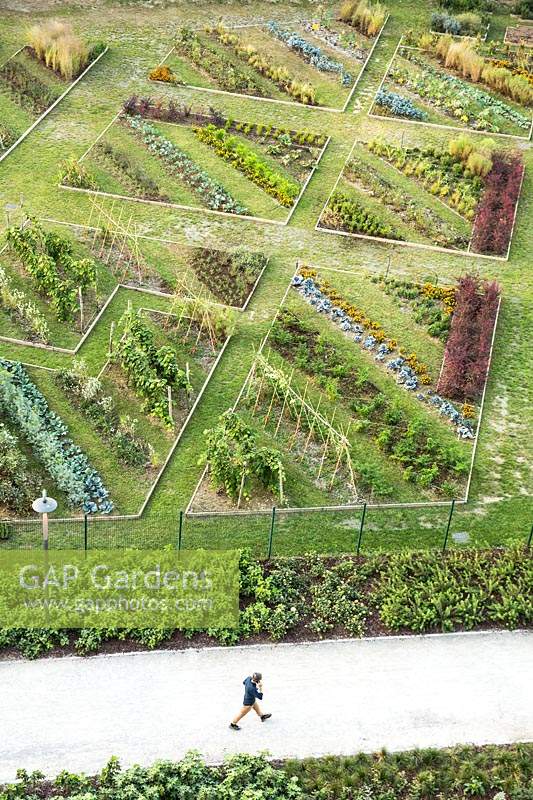 Overview of a kitchen garden showing the geometry of the beds and the oblique arrangement of the rows