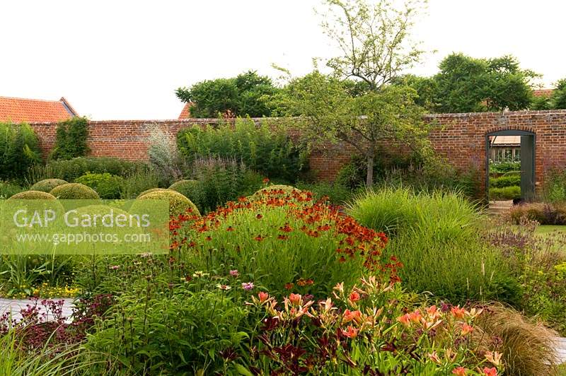 Extensive perennial flower bed with group of topiary domes in walled country garden 