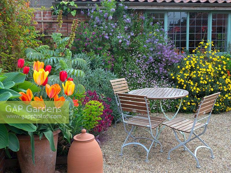 Relaxing area with table and chairs next to spring borders and tulips in containers.