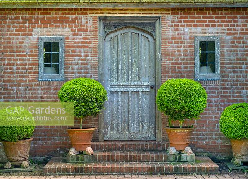 A line of Buxus - Box - balls in pots outside entrance to a brick building 
