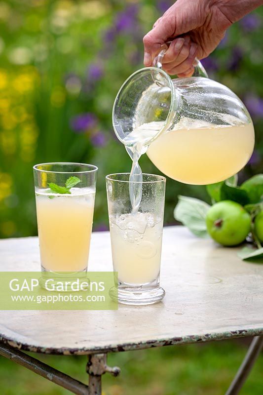 Homemade apple and ginger cordial